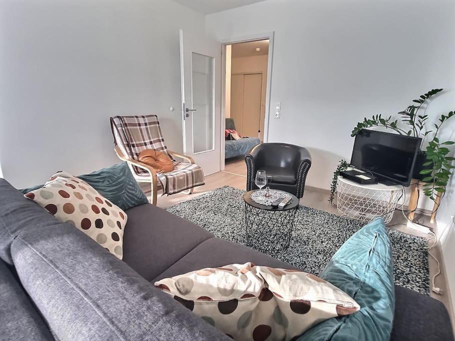 שטרסבורג Superbe Appartement Avec 2 Balcons - Vue Sur La Cathedrale Environ 15 Min En Tram מראה חיצוני תמונה