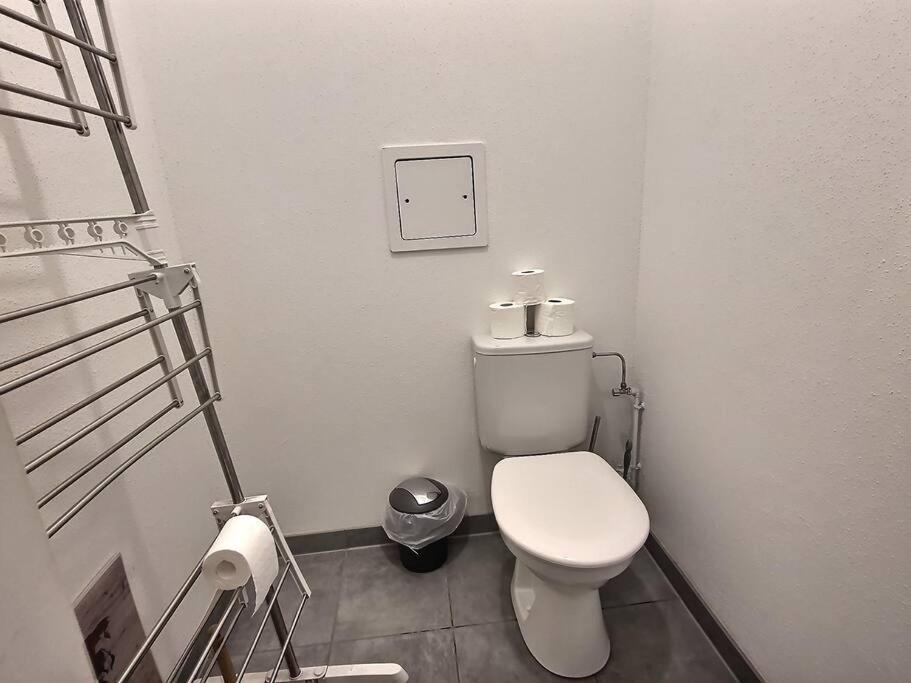 שטרסבורג Superbe Appartement Avec 2 Balcons - Vue Sur La Cathedrale Environ 15 Min En Tram מראה חיצוני תמונה