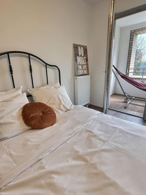שטרסבורג Superbe Appartement Avec 2 Balcons - Vue Sur La Cathedrale Environ 15 Min En Tram מראה חיצוני תמונה